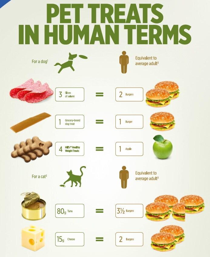 Treat translator Treat translator